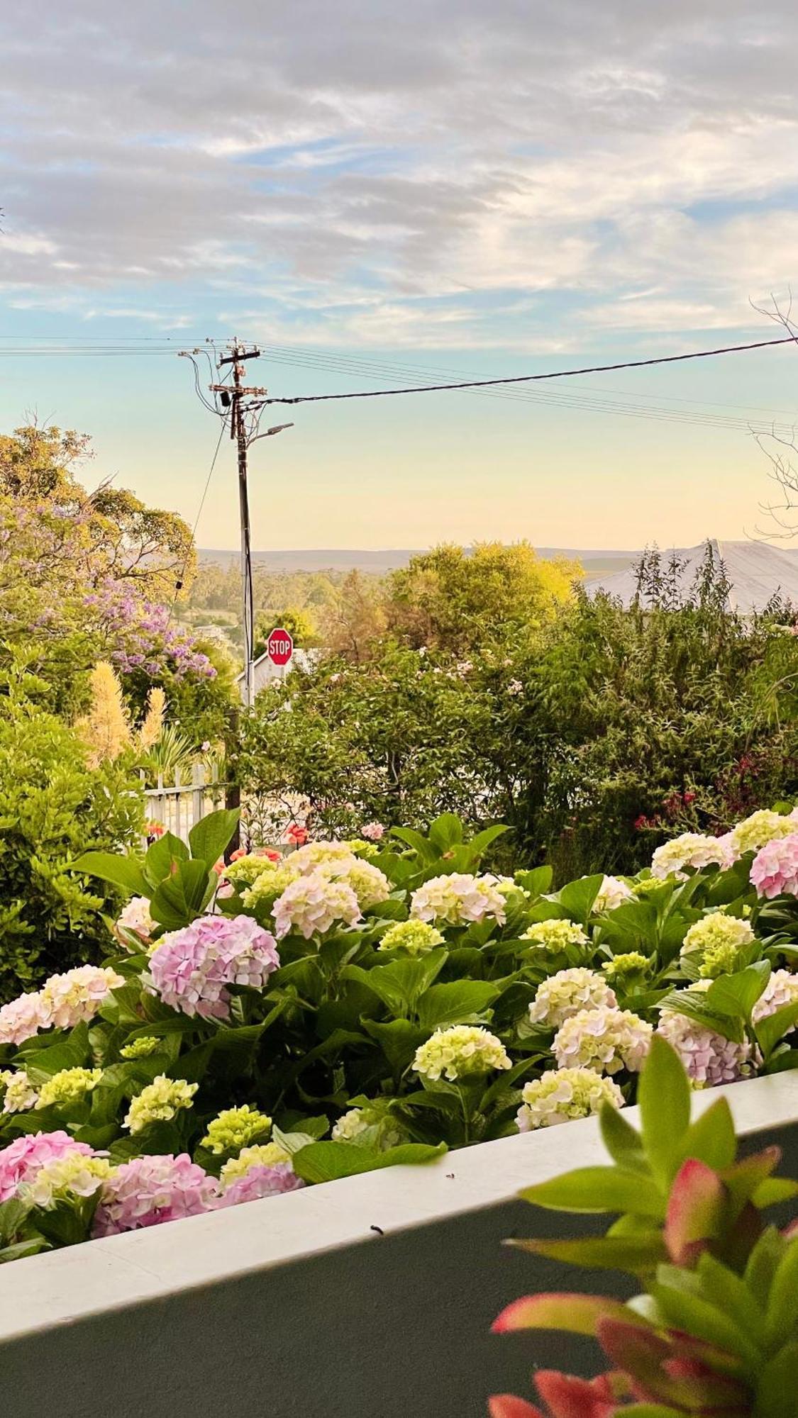 Rosehaven Cottage Swellendam Dış mekan fotoğraf